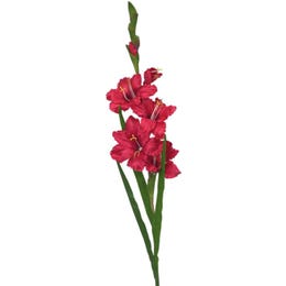 Umetna gladiola rdeča 74 cm