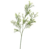 Okrasna veja asparagusa zelena 70 cm
