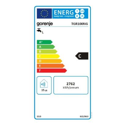 Gorenje Električni grelnik vode TGR100NG bela 93,4 l